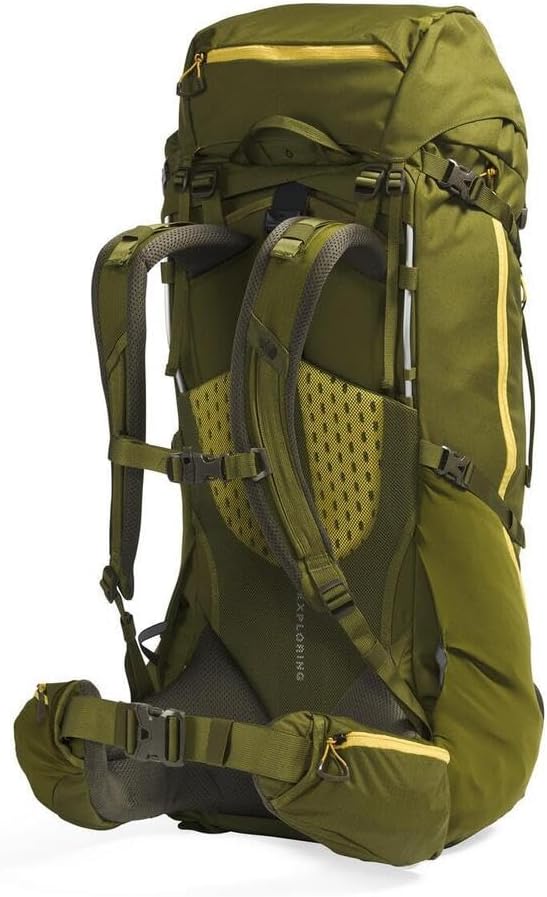 The North Face Terra 65 Backpack - Unisex Hiking Pack, Cinch-Top Opening with Zipper, Pole & Ice Axe Attachments, Forest Olive/New Taupe Green-NPF, Large/X-Large