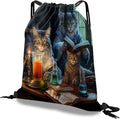 Drawstring Backpack Draw String Bag Waterproof for Sports Gym Beach Travel Cute Aesthetic Sackpack Men Women (13"×17")-Cat