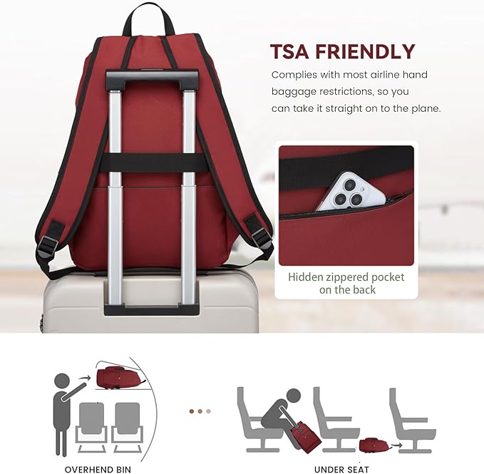 Classic Casual Backpack, Lightweight Daypack with 10 Pockets, Laptop Compartment, EVA Foam Pad (Wine red)