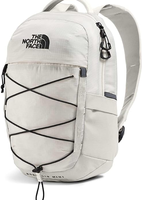 THE NORTH FACE Borealis MINI Backpack