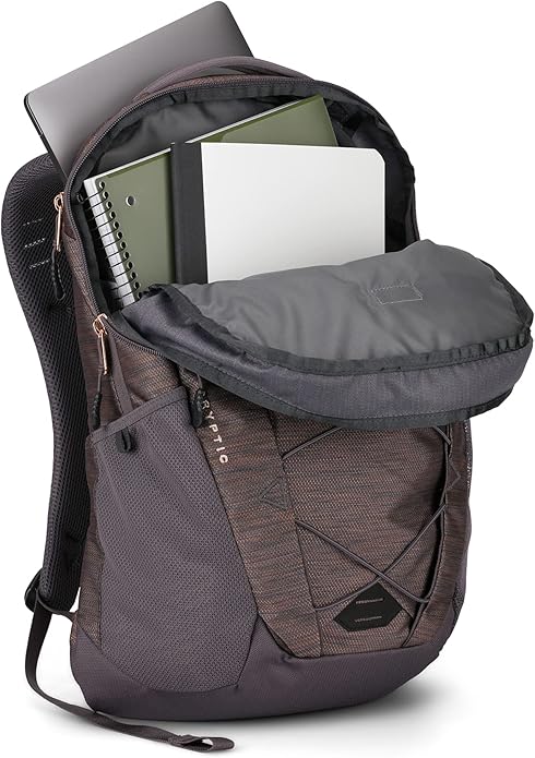 THE NORTH FACE Cryptic Everyday Laptop Backpack