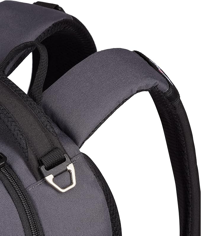 SWISSGEAR Cecil 18-Inch Laptop Backpack Fits 16-Inch Laptop, Travel Daypack with Organizer Pockets, Water Bottle Holders & Padded Straps – Dark Grey/Black