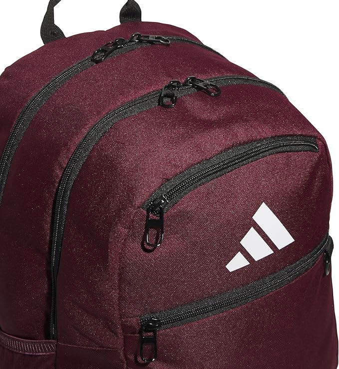 Striker Team Sports Backpack for soccer and more, workout bag for men and women