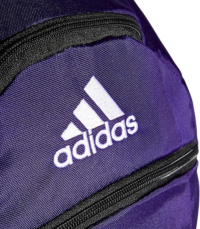 Striker Team Sports Backpack for soccer and more, workout bag for men and women