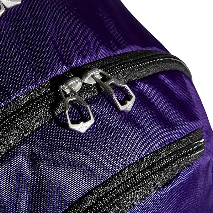Striker Team Sports Backpack for soccer and more, workout bag for men and women