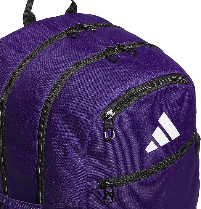 Striker Team Sports Backpack for soccer and more, workout bag for men and women