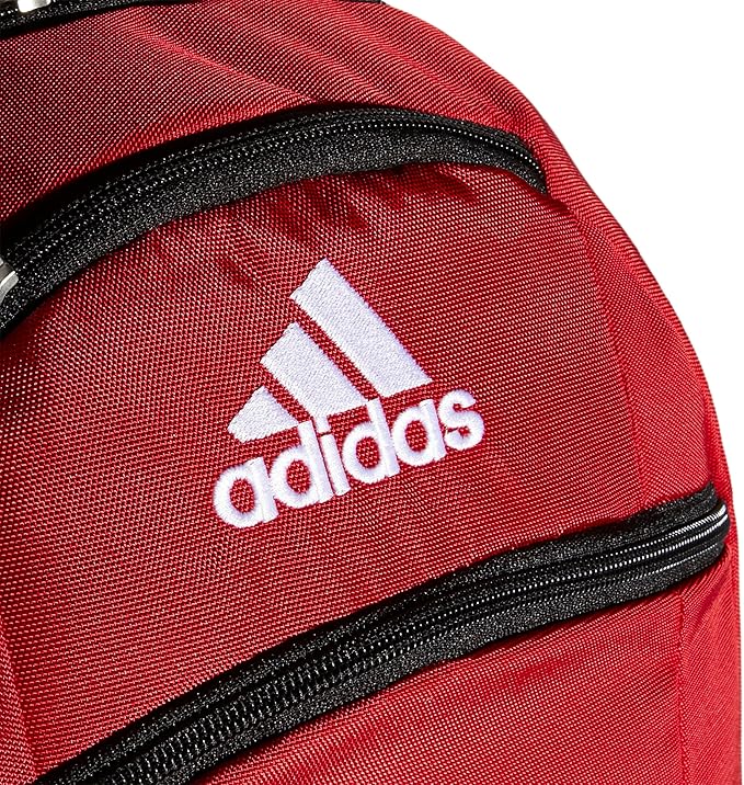 Striker Team Sports Backpack for soccer and more, workout bag for men and women