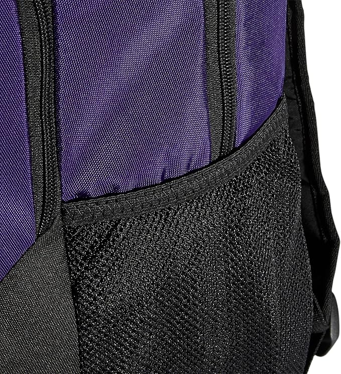 Striker Team Sports Backpack for soccer and more, workout bag for men and women