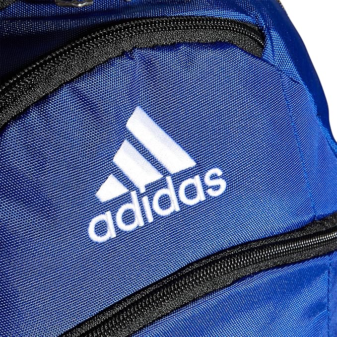 Striker Team Sports Backpack for soccer and more, workout bag for men and women